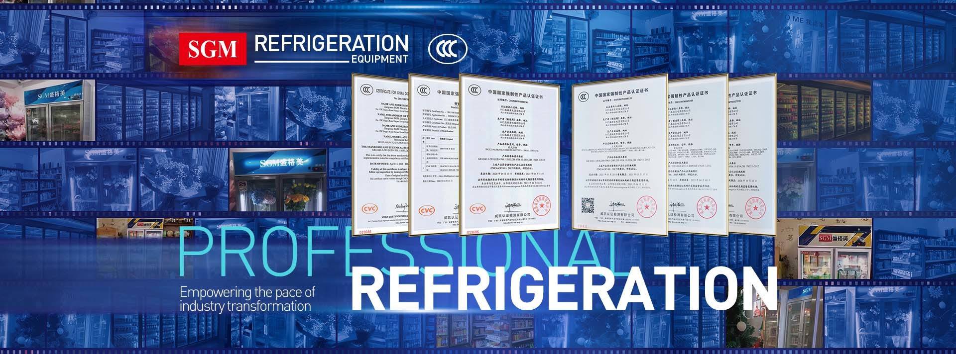 Qualité Refroidisseur vertical à porte unique usine